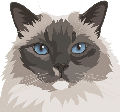 Modern head portrait sample of a grey and white cat with blue eyes