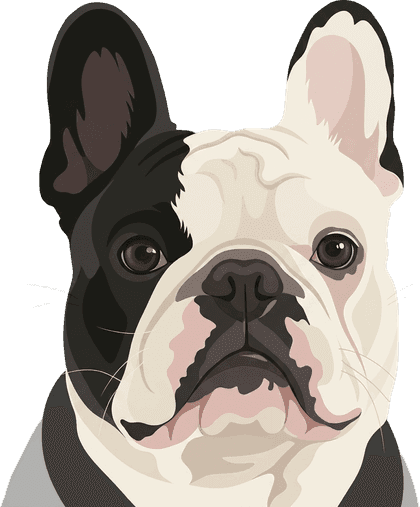 Modern portrait cutout of the same French bulldog