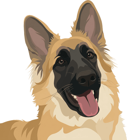 Modern head portrait sample of a German shepherd puppy