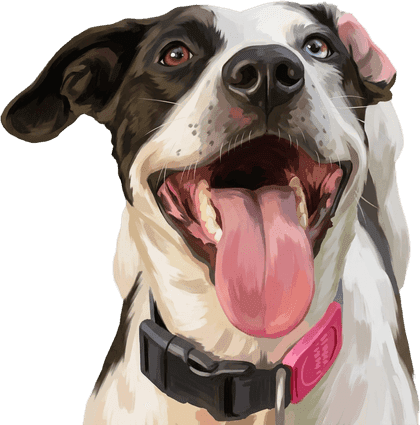 Modern head portrait sample of a spotted pointer mix
