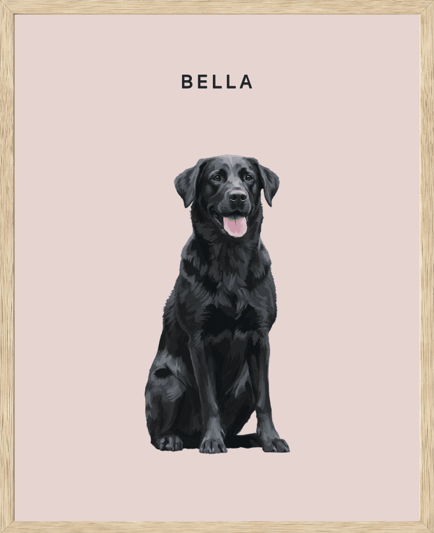 Framed full-body portrait of Bella, a black Labrador, on a rose background in a natural oak frame