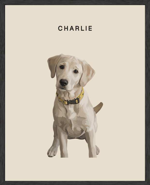 Modern full-body portrait of Charlie on dune background in a black oak frame