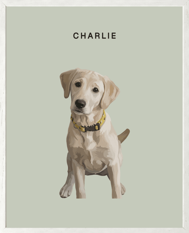 Framed full-body portrait of Charlie, a yellow Labrador puppy, on a eucalyptus background in a white oak frame