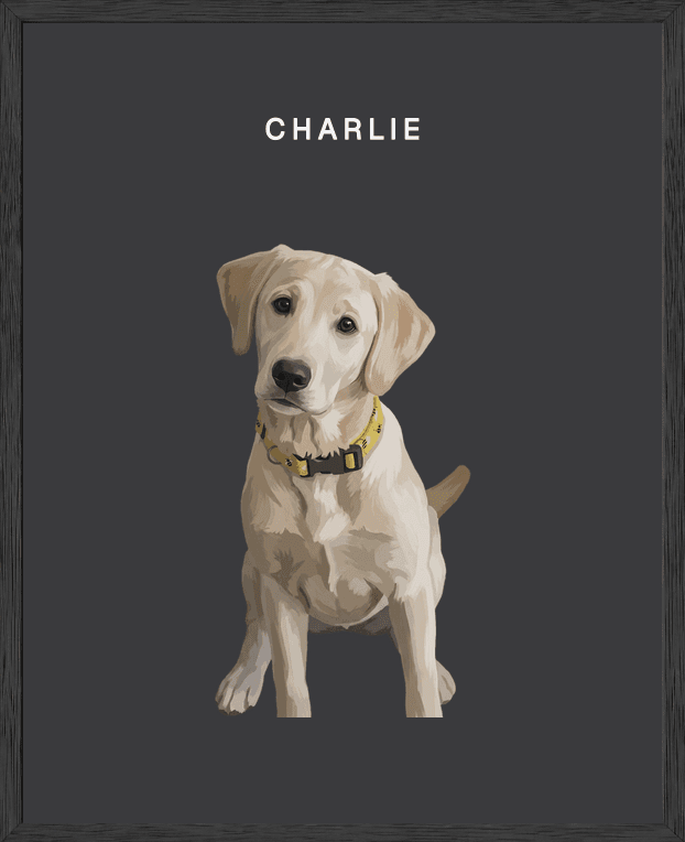 Modern full-body portrait of Charlie on noir background in a black oak frame
