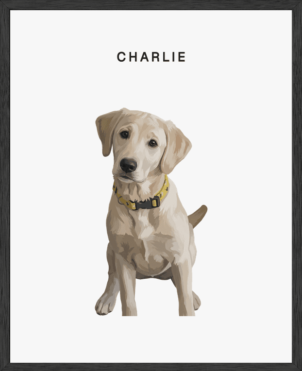 Modern full-body portrait of Charlie on pearl background in a black oak frame