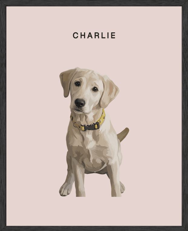 Modern full-body portrait of Charlie on rose background in a black oak frame