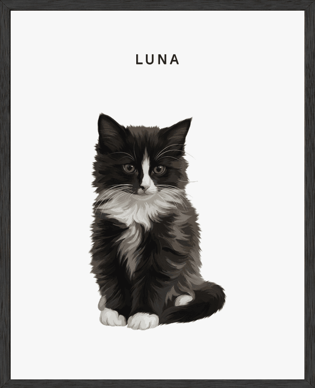 Framed full-body portrait of Luna, a tuxedo kitten, on a pearl background in a black oak frame