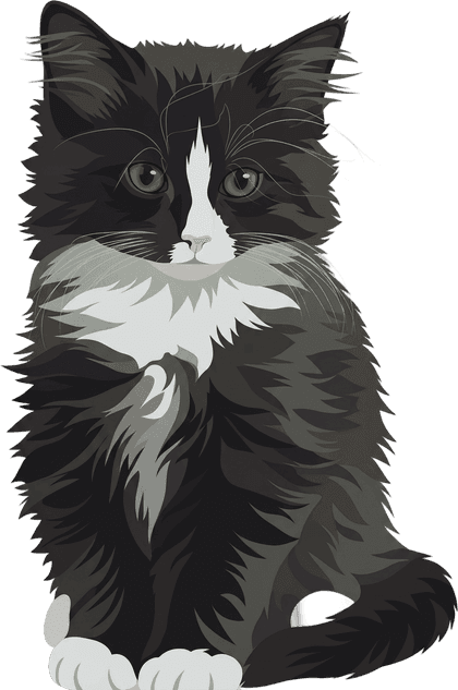 Modern full-body portrait sample of a black and white cat