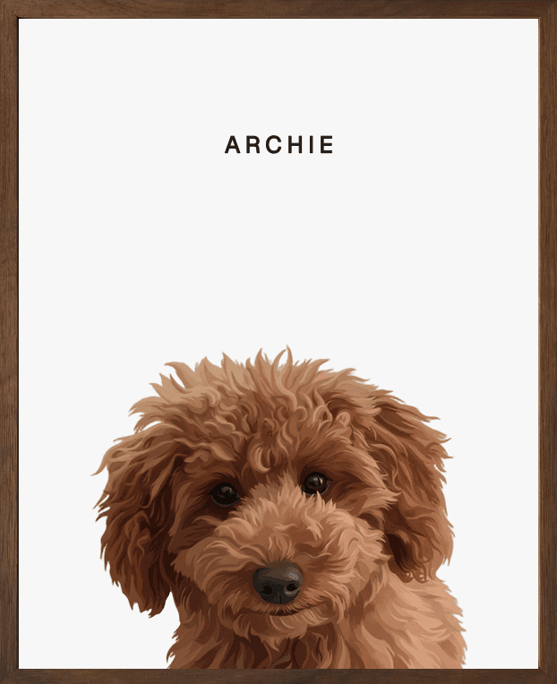 Modern head portrait of Archie on pearl background in a walnut oak frame