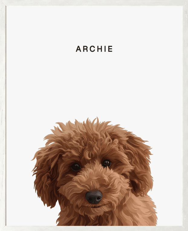 Modern head portrait of Archie on pearl background in a white oak frame