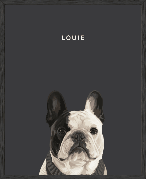 Framed head portrait of Louie, a black and white French bulldog, on a noir background in a black oak frame