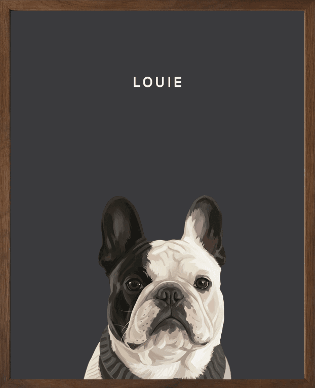 Modern head portrait of Louie on noir background in a walnut oak frame