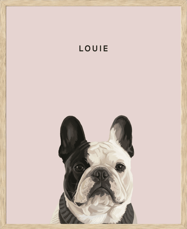 Modern head portrait of Louie on rose background in a natural oak frame
