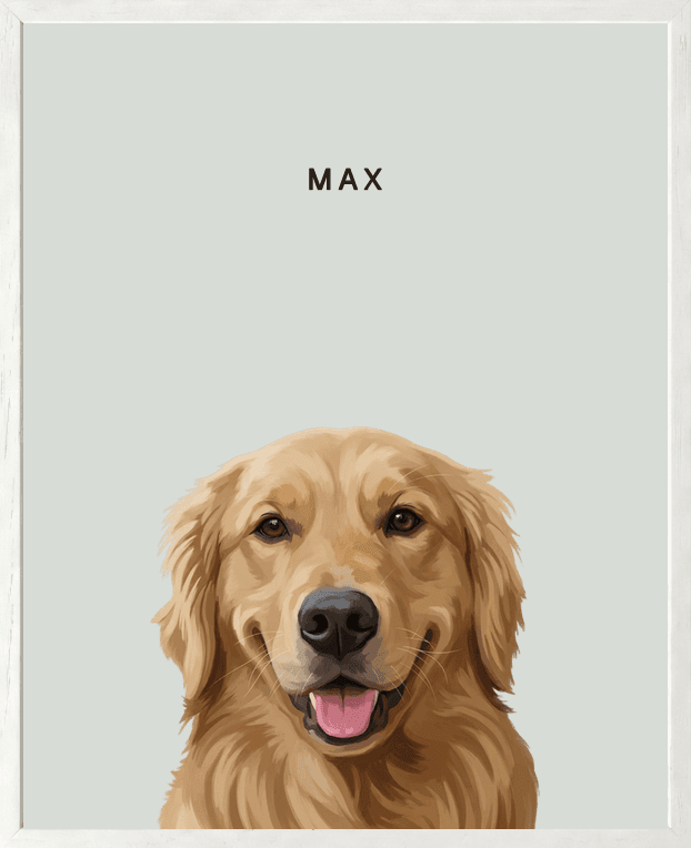 Modern head portrait of Max on mist background in a white oak frame