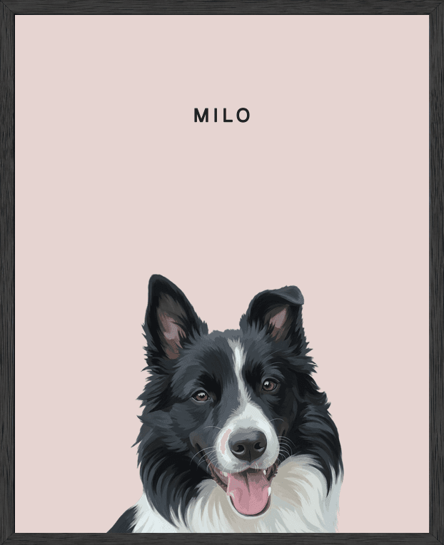 Modern head portrait of Milo on rose background in a black oak frame
