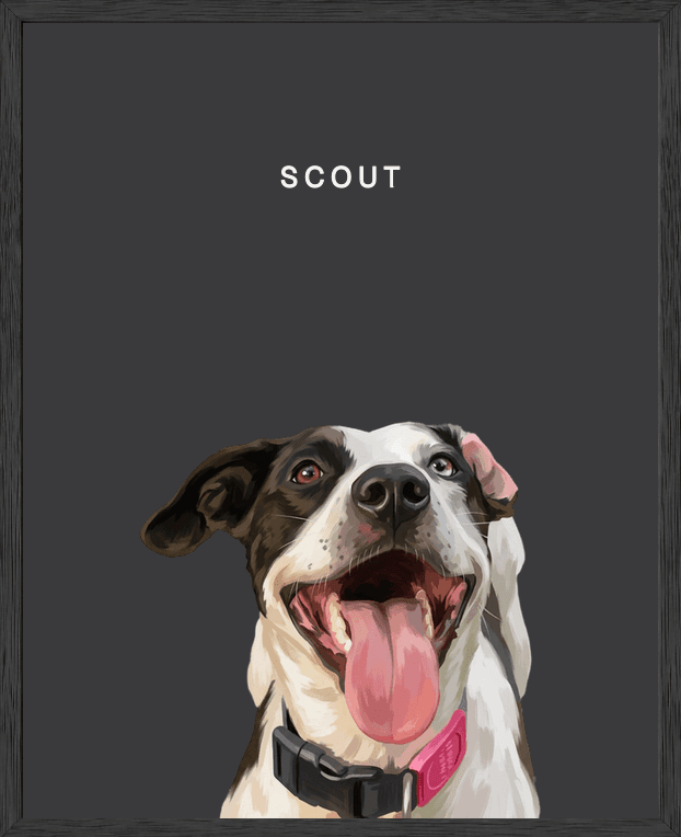Modern head portrait of Scout on noir background in a black oak frame